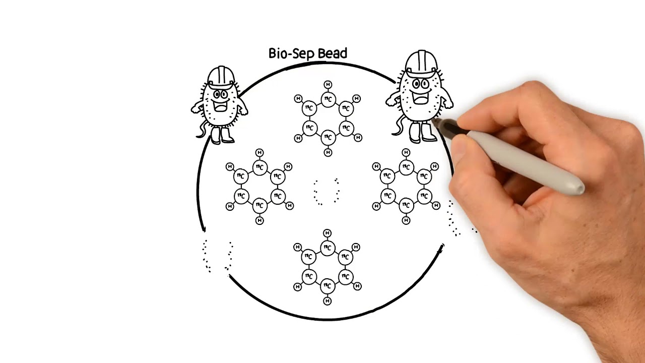 Microbial Insights - How Does SIP Work