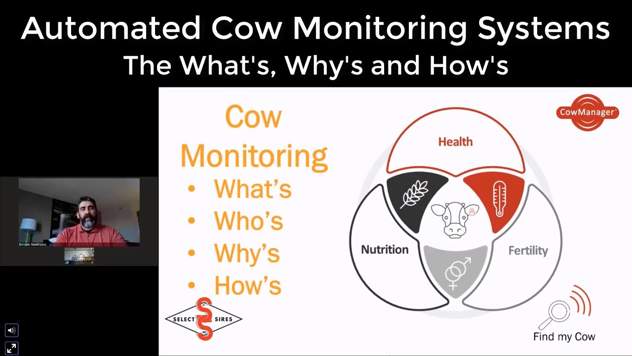 Automated Cow Monitoring Systems: The What's, Why's and How's