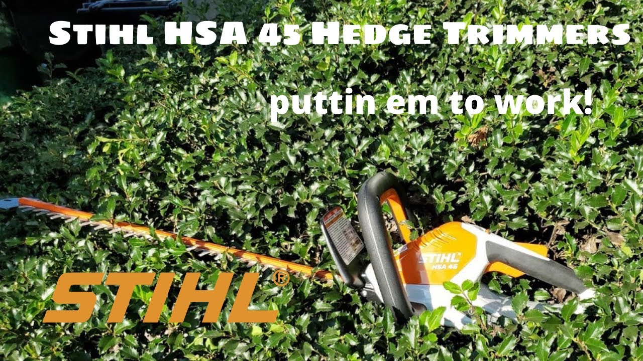 Обзор кусторезов Stihl HSA 45