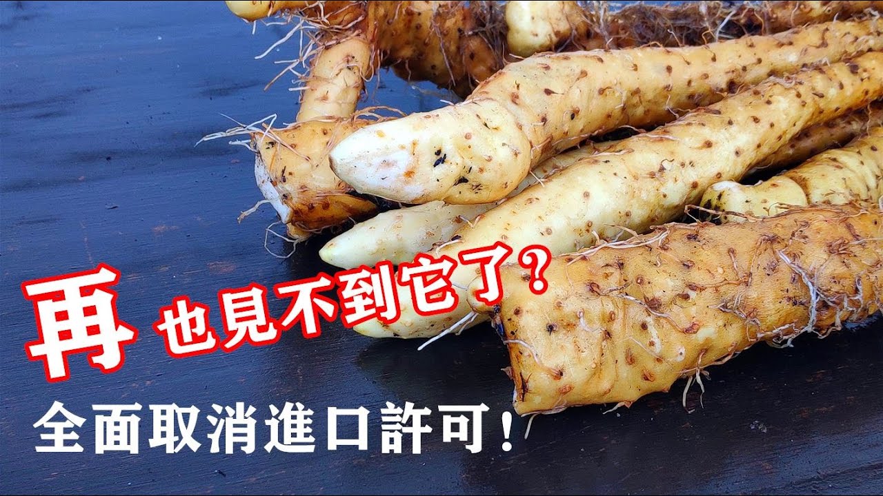切下几段埋进土里，没想到回报却如此丰厚，如何利用高脚花盆种植山药？