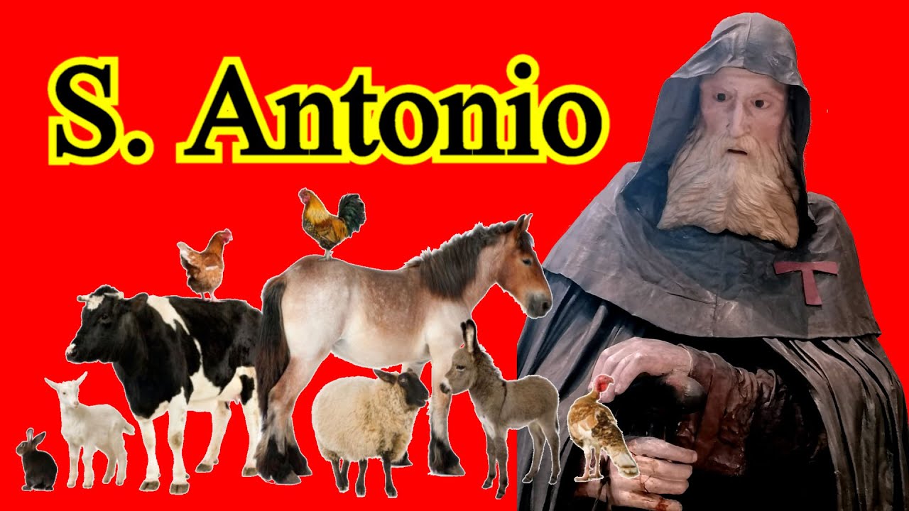 Ripatransone - Benedizione animali  Pasquella