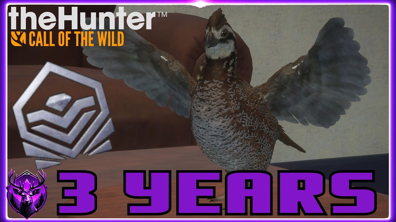 3 Years on YouTube leads to a surprise Diamond AND a Rare!