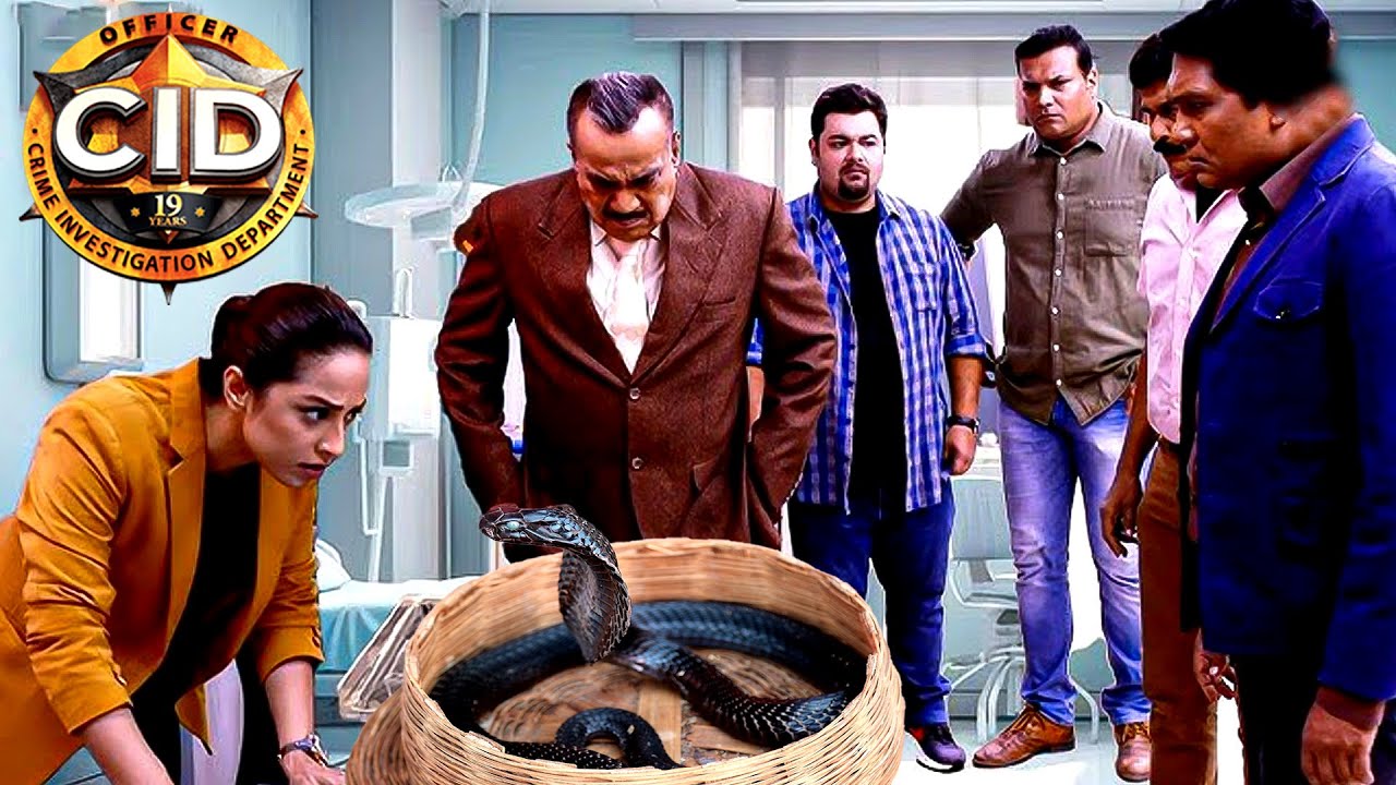 বিষধর সাপের ঘটনা ফাঁস করল সিআইডি টিম  || সিআইডি CID || bengali crime series- 2024