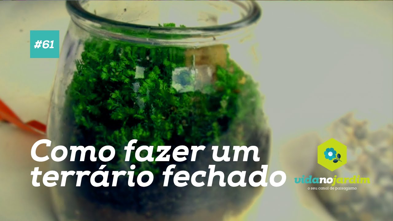 DIY - Faça Você mesmo um terrario Fechado # 61