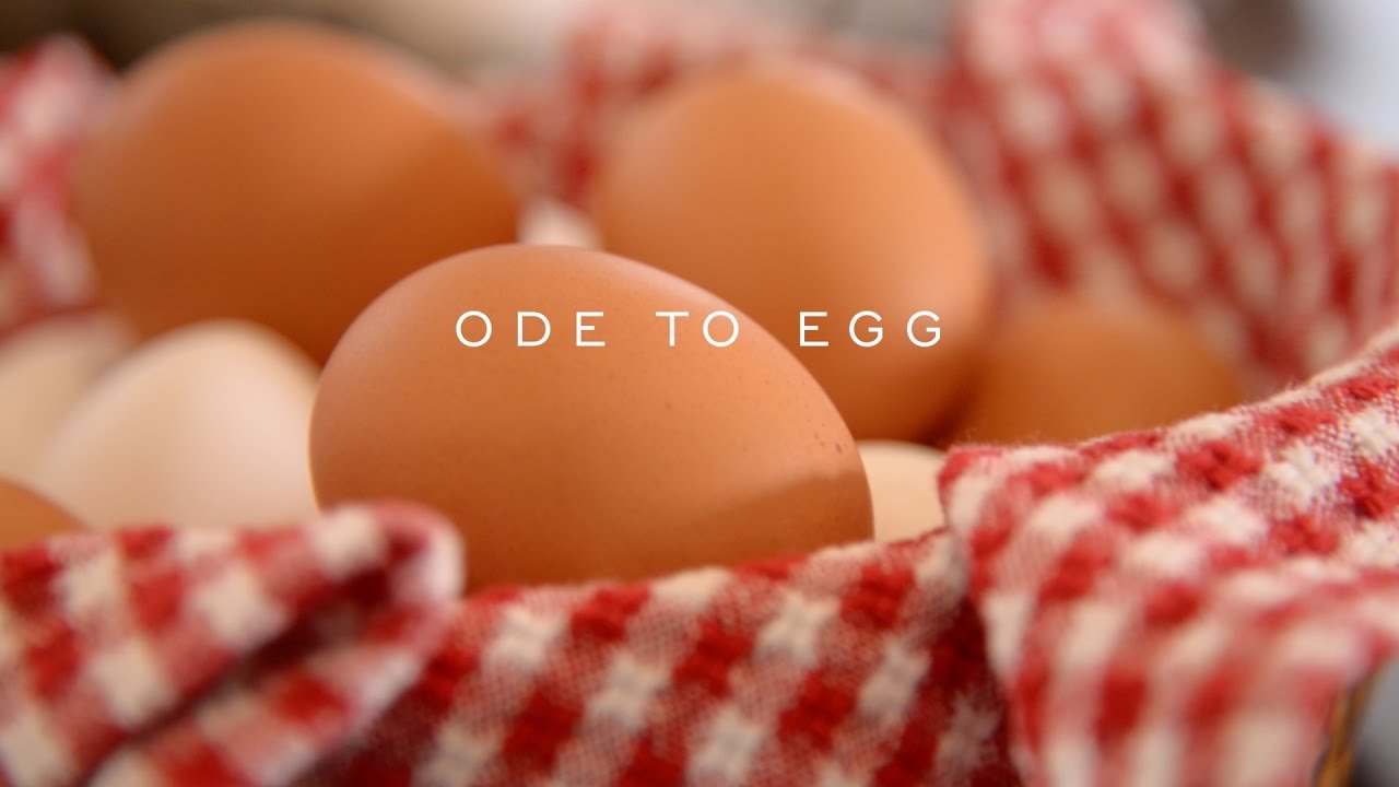 Ode to Egg by Bill St. John