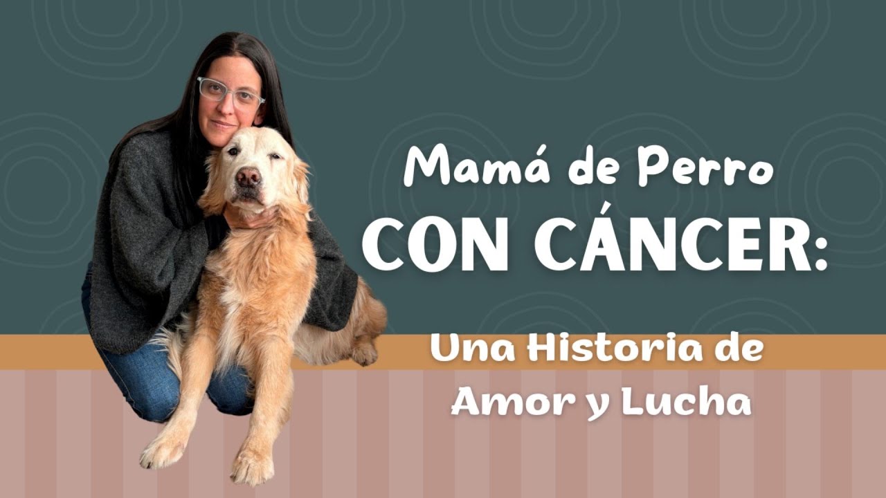 Le diagnosticaron CÁNCER a mi perro | Historia real + Consejos.  #PerrosSenior #CancerEnPerros