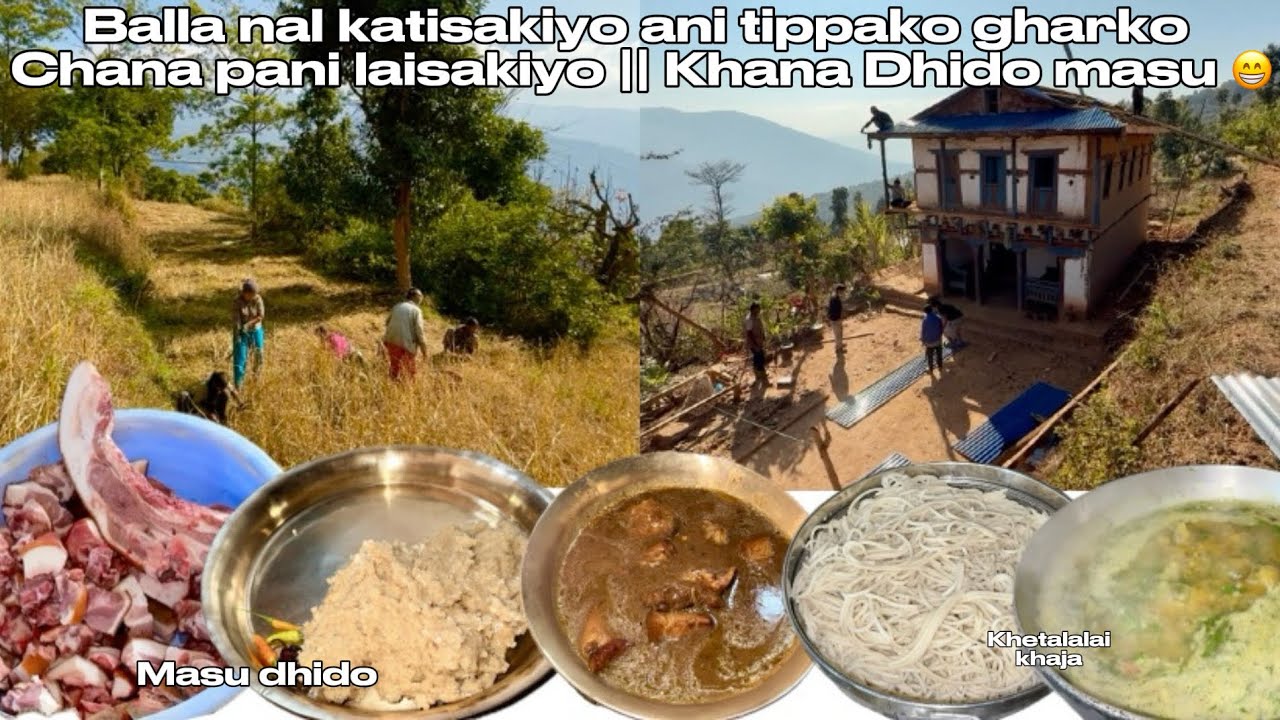 Dhido ra sungurko masu khayera Nal katnu baritira lagyo || Tippako gharma Tinko chana✅