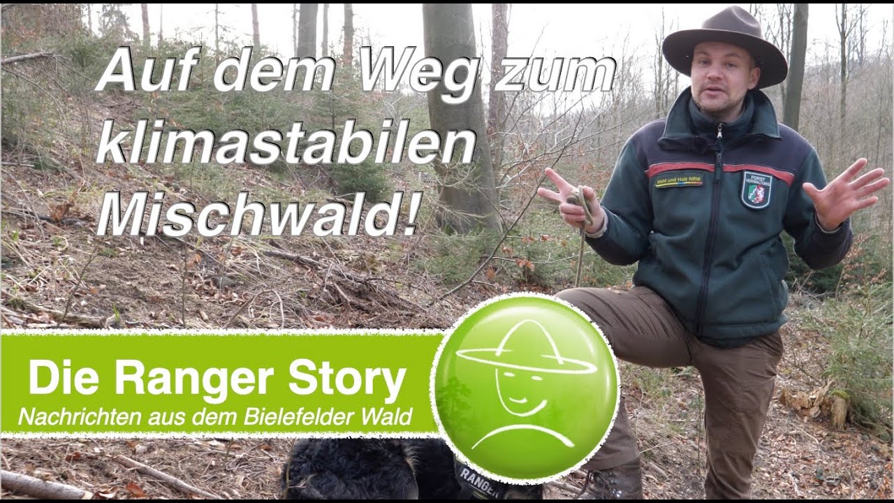 Klimastabiler Mischwald!