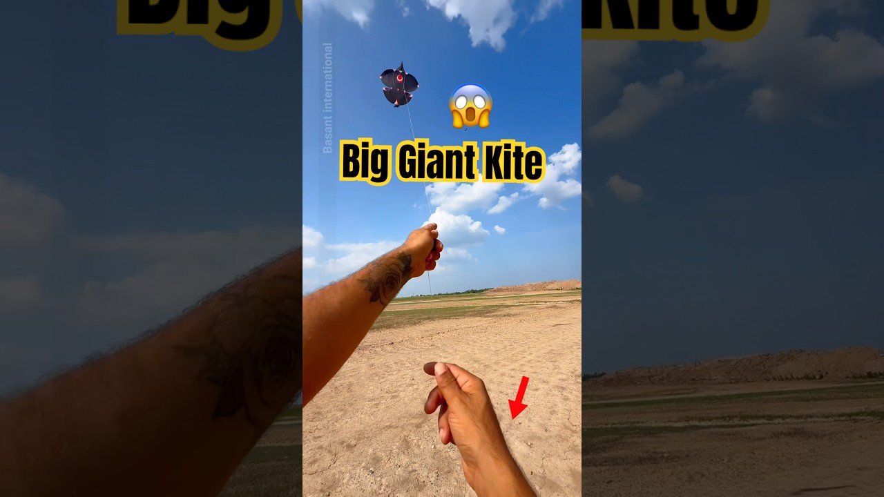big kite flying international kite festival #basantinternational #kiteflying #kiteday #kiteground