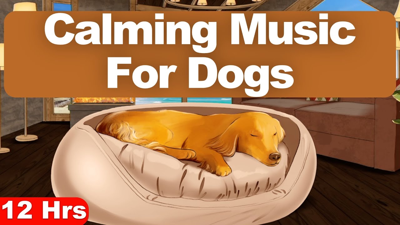 12 Hours Of Music For Dogs