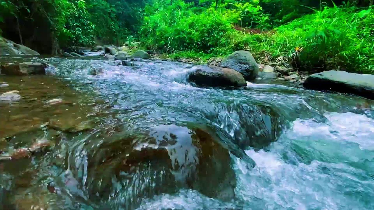 ПРЕДУПРЕЖДЕНИЕ: НЕВЕРОЯТНЫЙ РЕЛАКС 🌧️ Река под тропическим ливнем