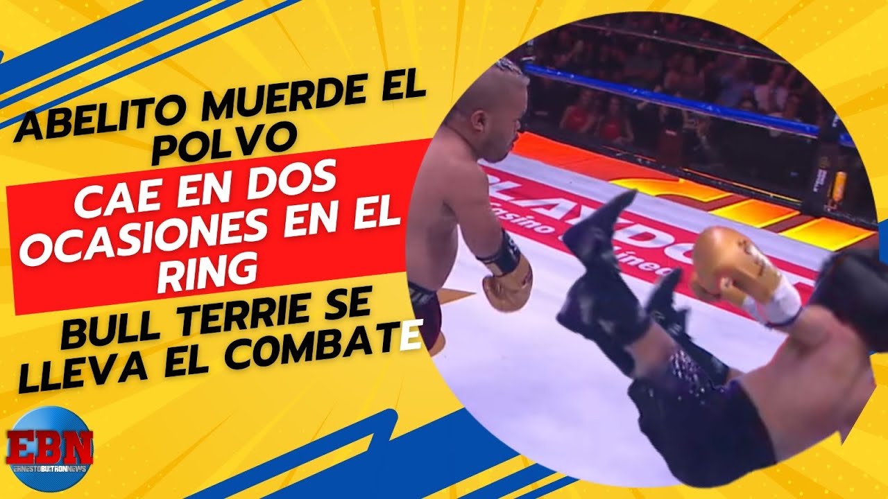 🚨ABELITO MUERDE EL POLVO cae en dos ocasiones en el ring y Bull Terrie se lleva el C0MBATE 🥊