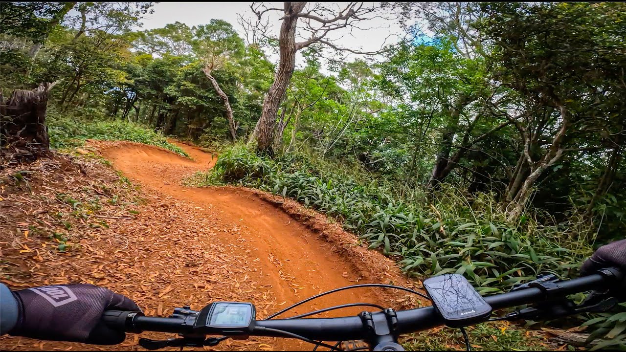 Singletrack Trails // Pineapple Express (Makawao, Hawaii)