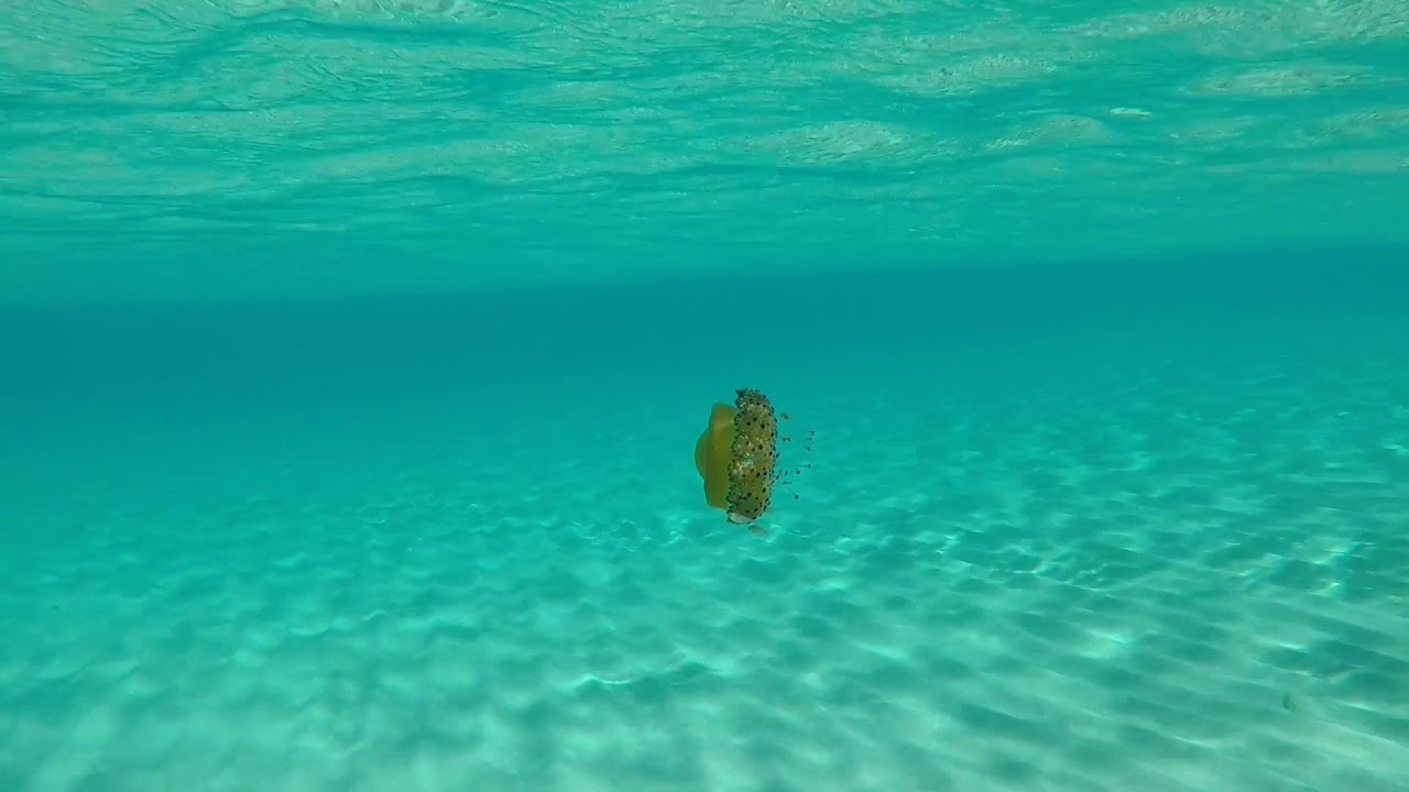 Spiaggia e fondali La Caletta Siniscola