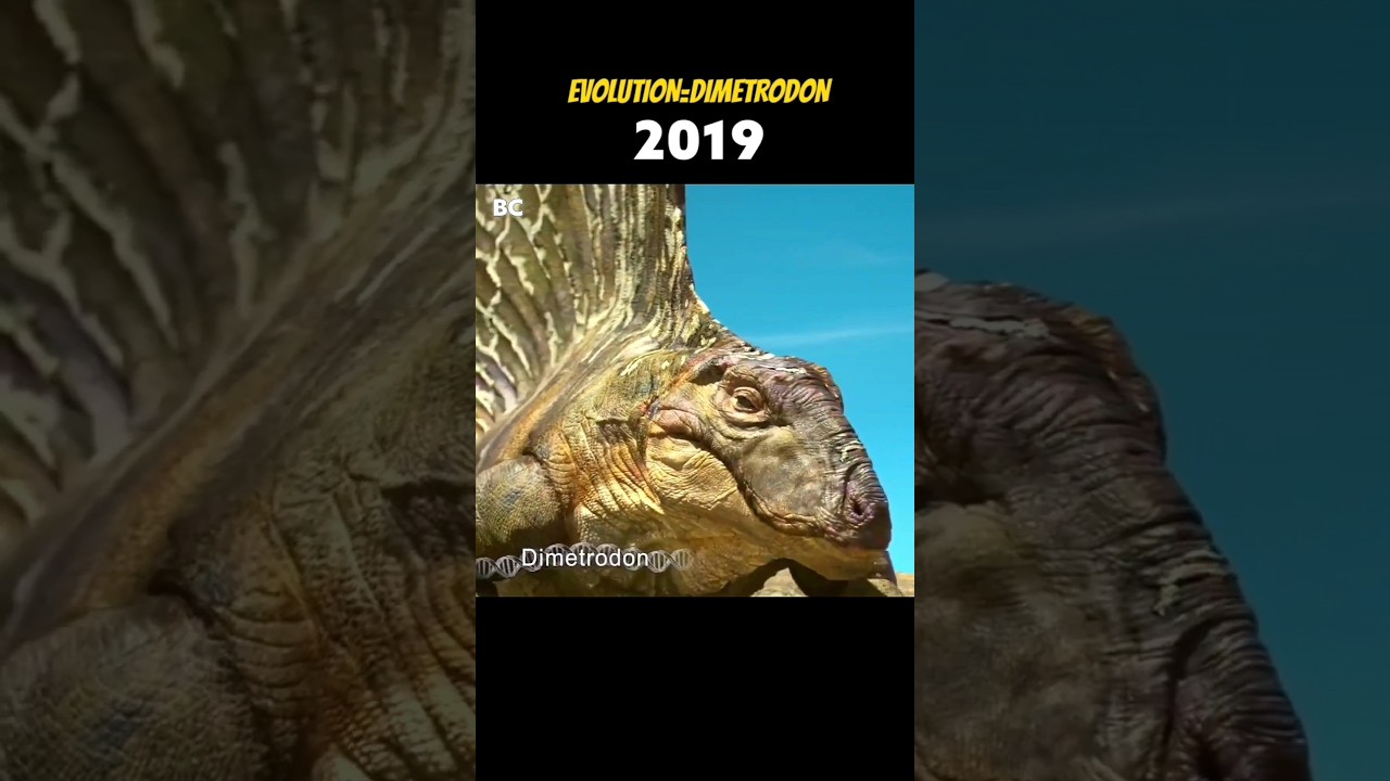 Evolution of .Dimetrodon 