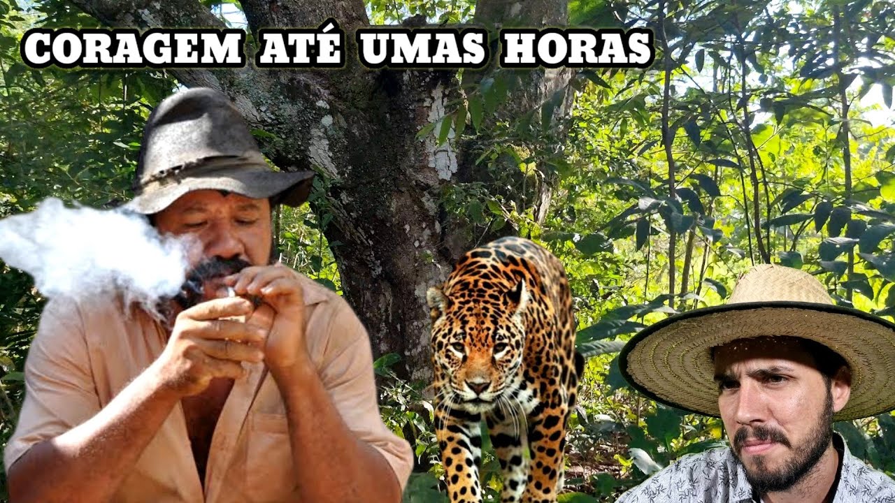 A ONÇA pegou o Caboclo e o amigo foi Esperar a bichona na Carcaça.. Causos Caipiras