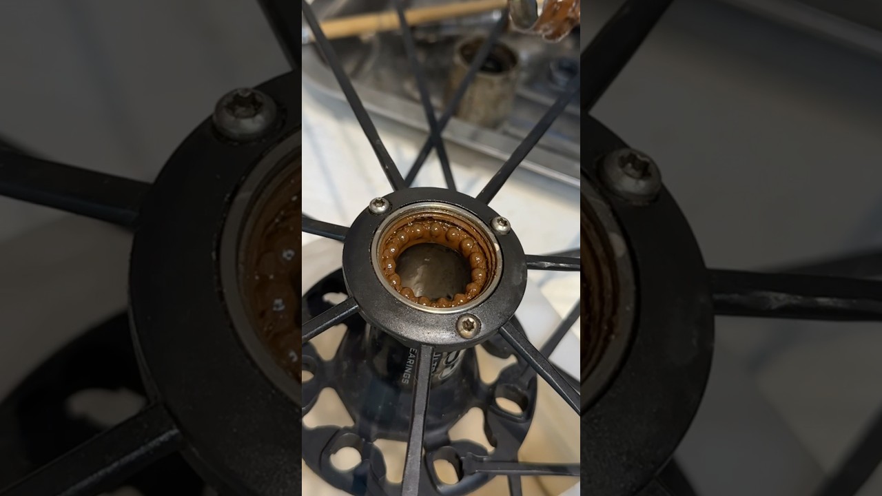 Fulcrum Racing Zero Cup and Cone Hub Overhaul Maintenance
