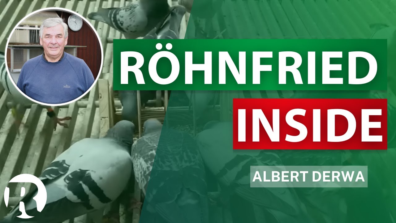 Röhnfried Inside bei Albert Derwa