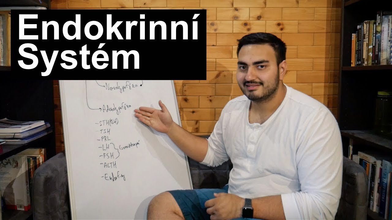 Endokrinní systém ...Polopaticky