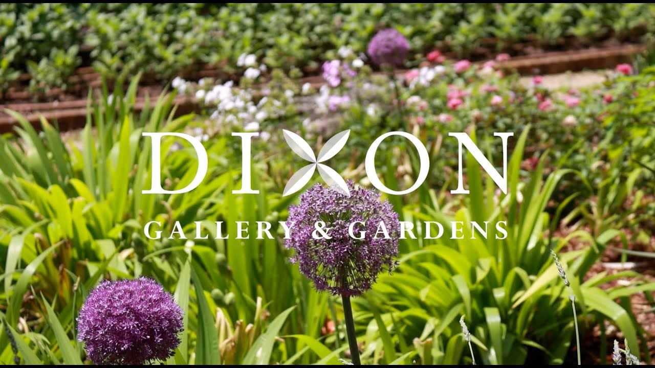 Summer Gardens 2025