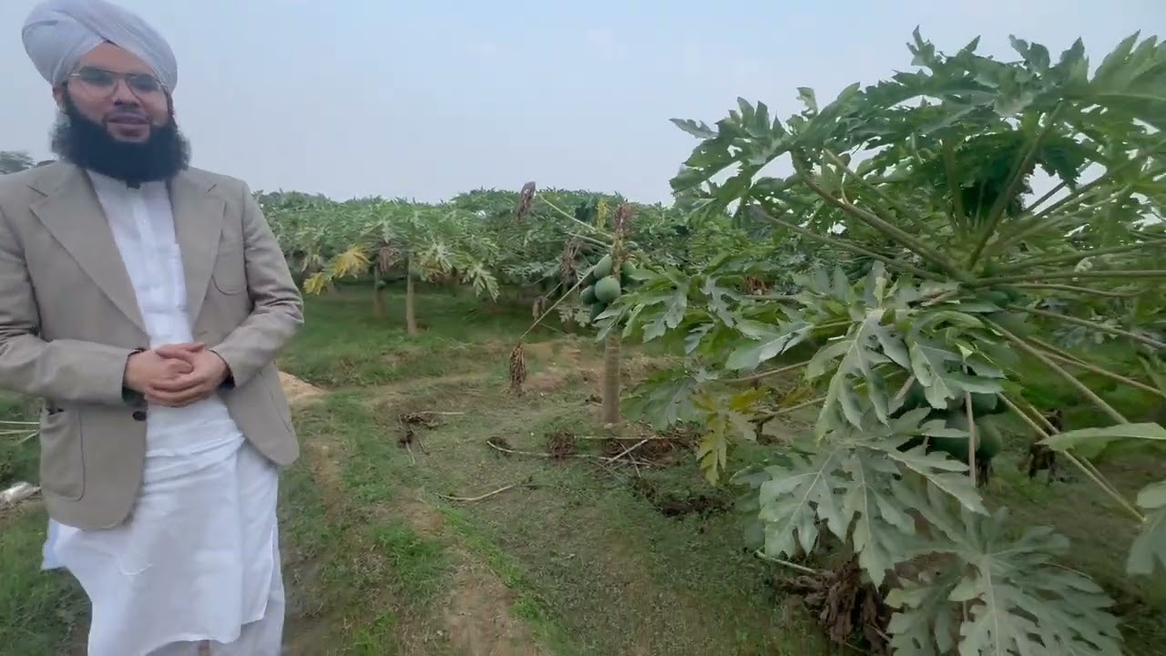 اللہ کی قدرت