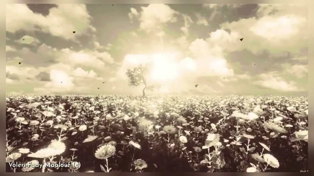 VOLERI - FADY MAALOUF