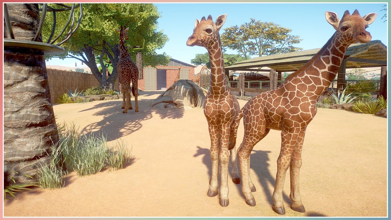 Reticulated Giraffe Habitat | Planet Zoo Africa Pack | Speed Build