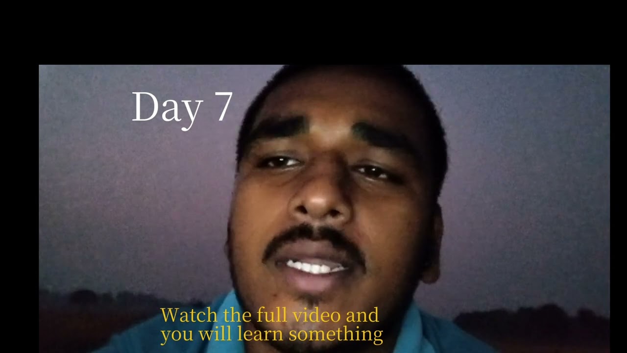 Day 7 