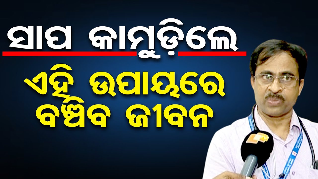 ସାପ କାମୁଡ଼ିଲେ ଏହି ଉପାୟରେ ବଞ୍ଚିବ ଜୀବନ | Snakebite in Rainy Season | Dr. Ranjan Raj Shares Safety Tips