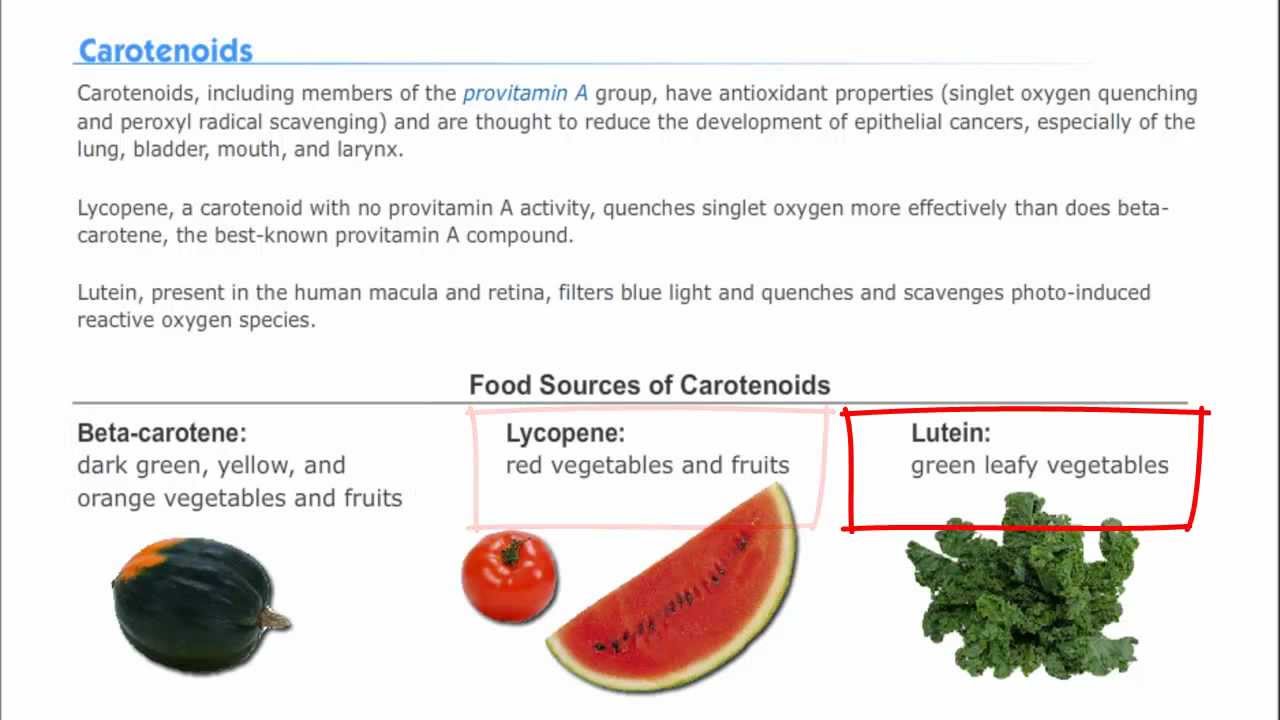 Primary Prevention of Cancer (UNC Chapel Hill)