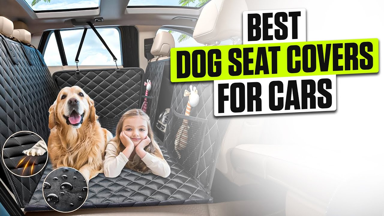 3 BEST Dog Seat Cover for Cars - Protect Your Seats Before It&rsquo;s Too Late!