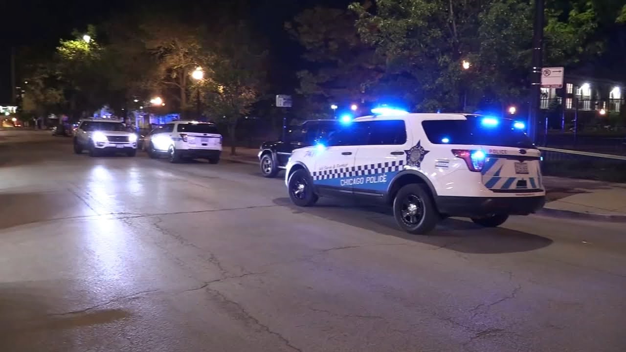 Northwestern student shot in Chicago park, officials say