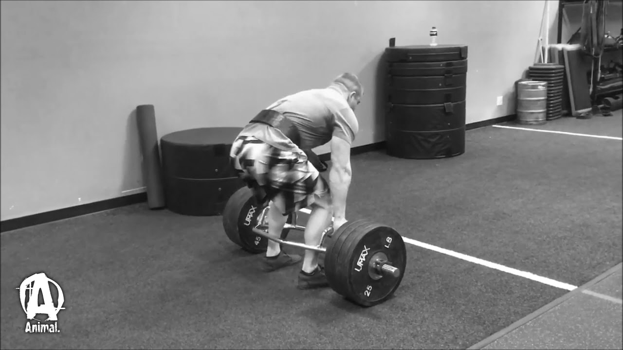 The Animal Underground: Pete Rubish Deads and Bench