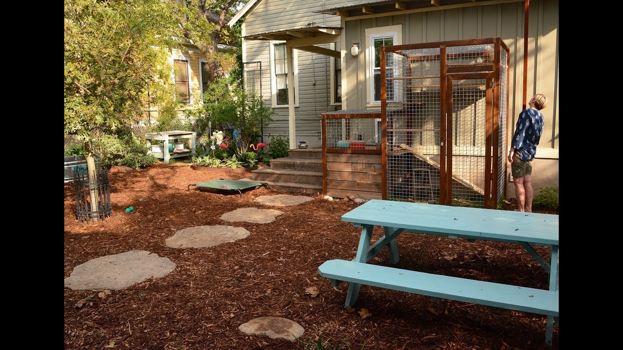 Catio, Garden for Dogs, Small Space Modern Design |Briana Miriani |Central Texas Gardener