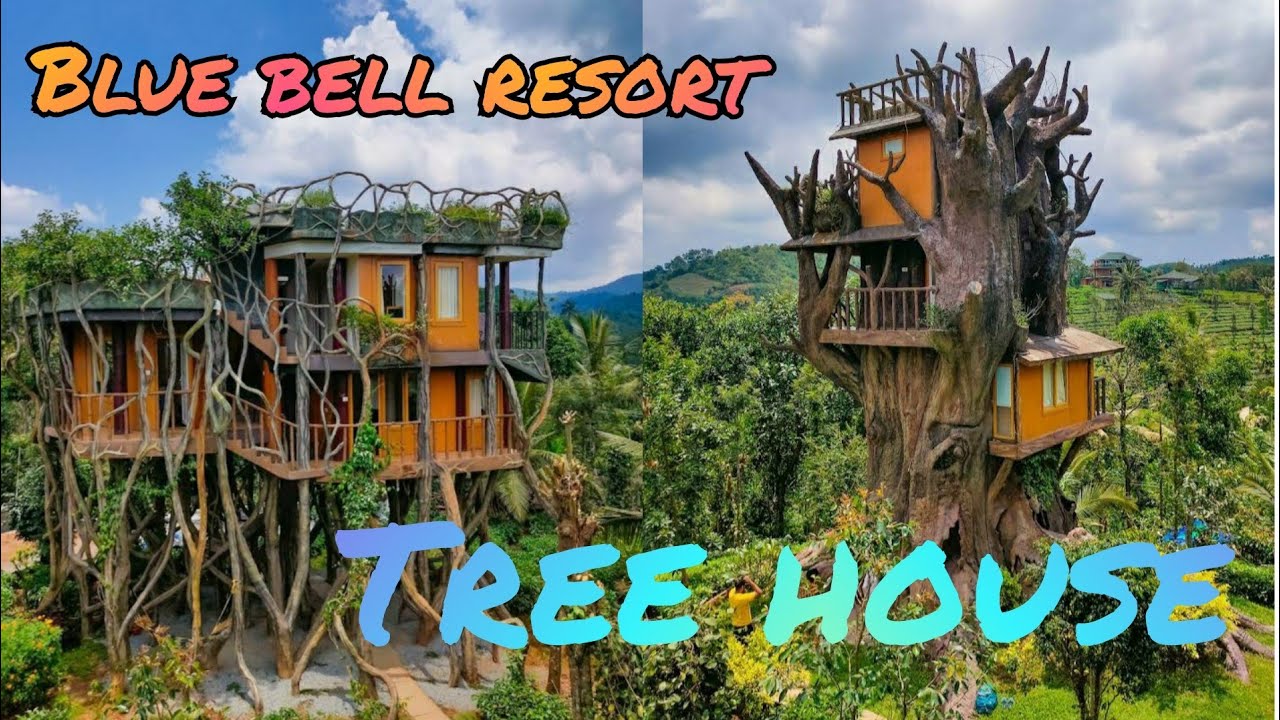 Blue bell resort🥰#tree house wayanad/low price resort