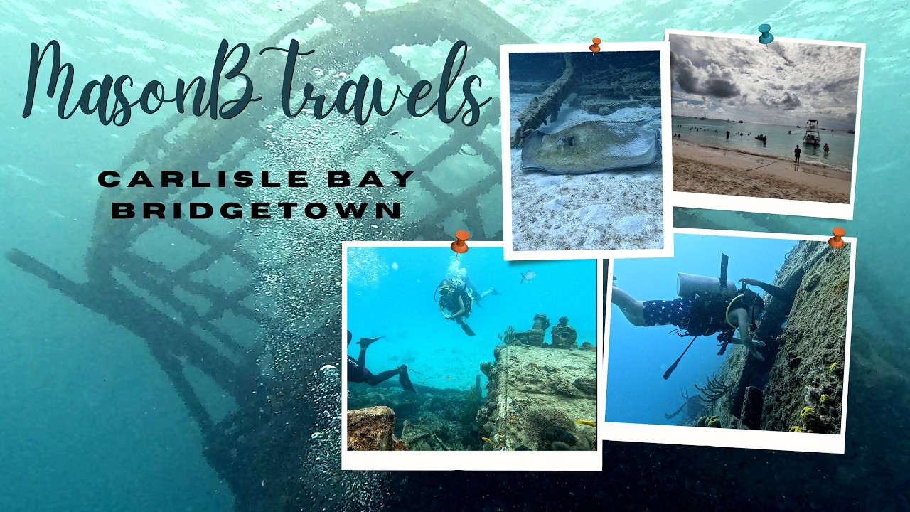 Six Shipwrecks in One Dive! 🤿 | Carlisle Bay, Bridgetown Barbados Wreck Adventure
