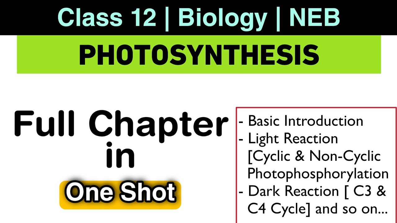 Photosynthesis in One Shot | Class 12 Biology NEB | Nepali ScienceGuru