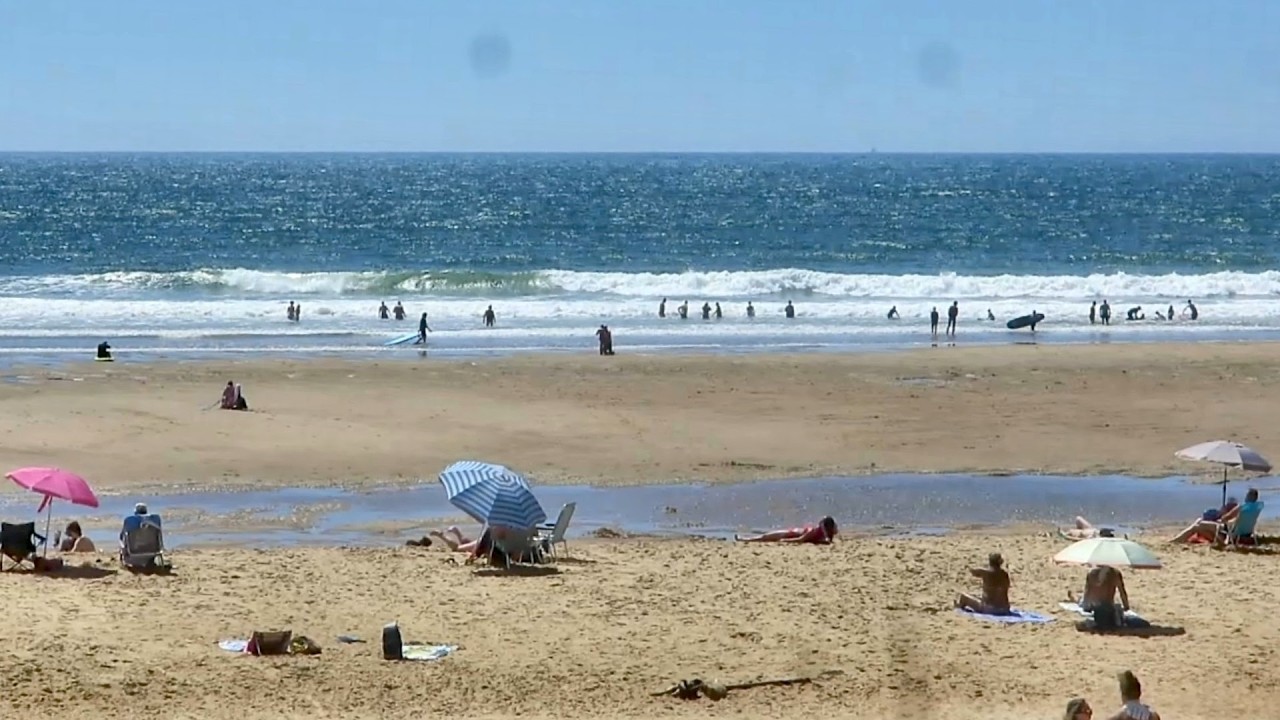 Camping Club Côte Sauvage in La Palmyre (June 2025).