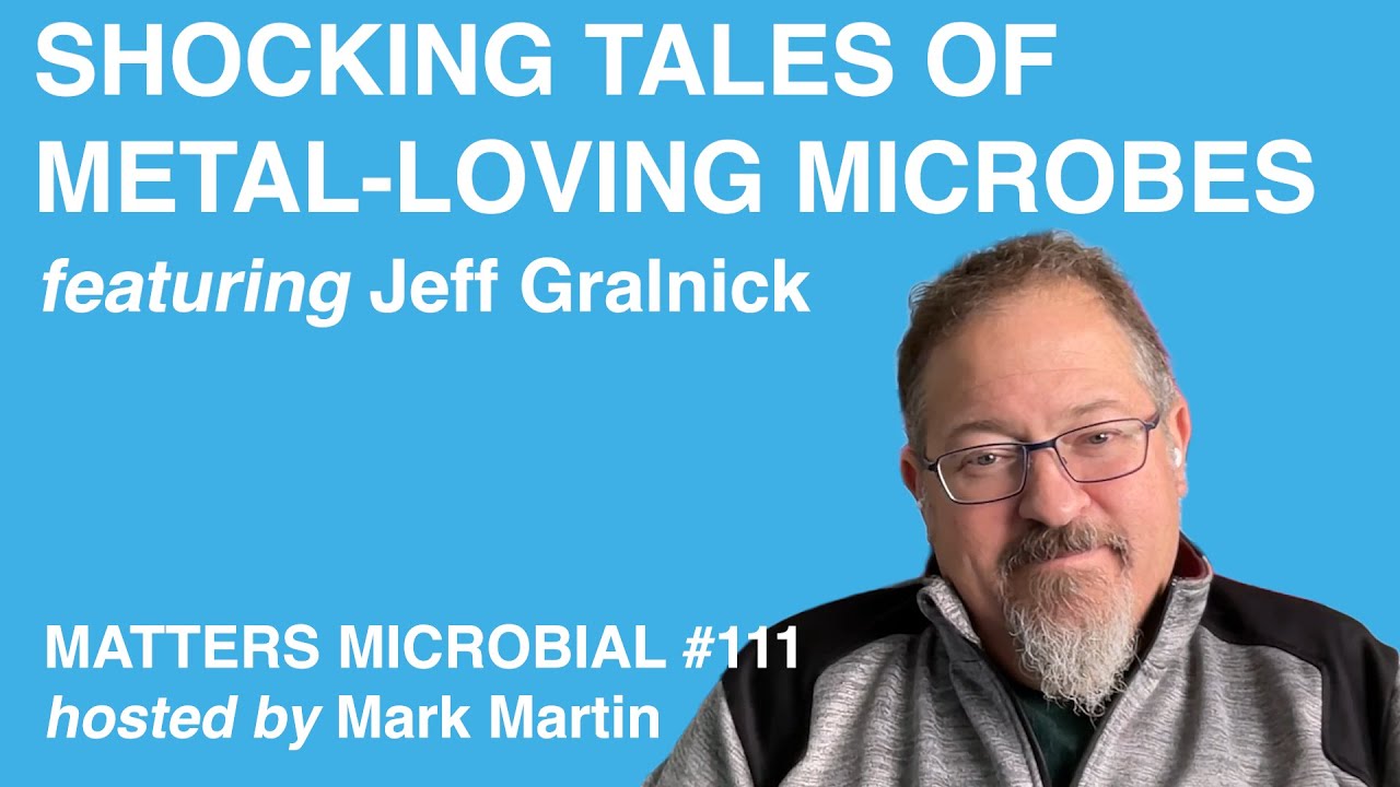 Matters Microbial #111: Shocking Tales of Metal-Loving Microbes