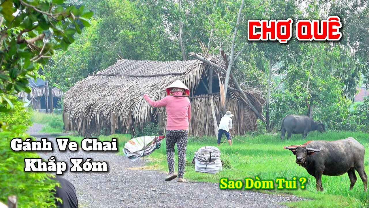 GÁNH VE CHAI KHẮP XÓM Nét Bình Yên Quê Hương Gần Chợ LONG HỰU TÂY.