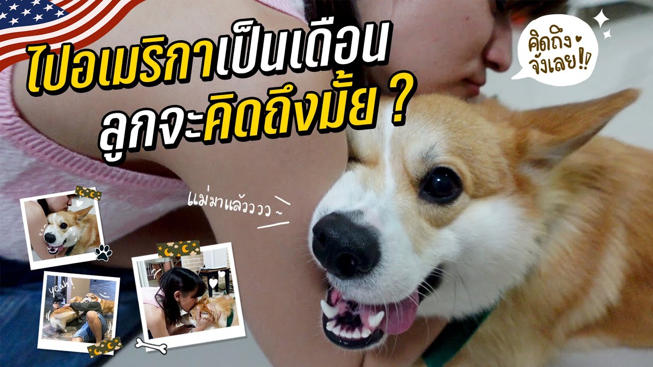 ไปอเมริกาเป็นเดือน กลับบ้านมาหมาจะคิดถึงเรามั้ยยย?!?!