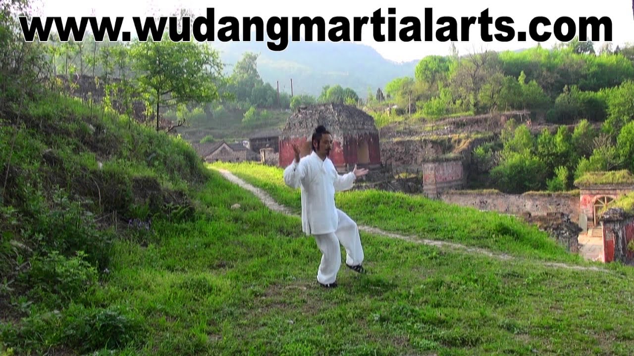 Wudang LiangYi Quan by Master Chen Shiyu