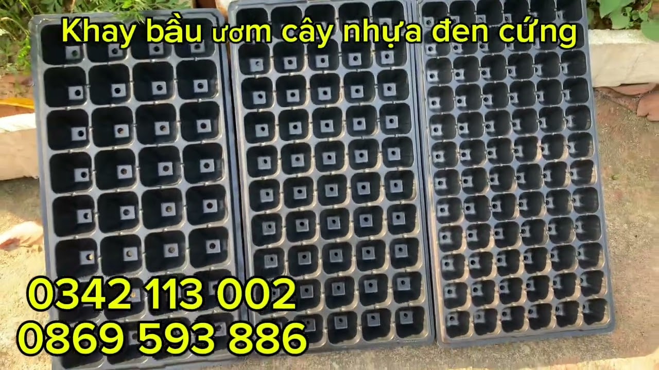 Tổng hợp khay bầu ươm cây nhựa cứng . 50,72,105 lỗ 