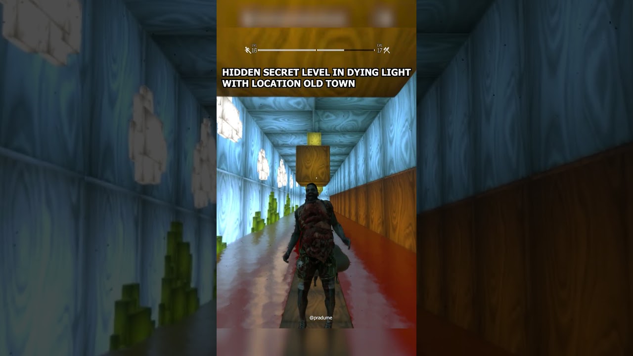 Hidden Secret Level In with Location Dying Light 