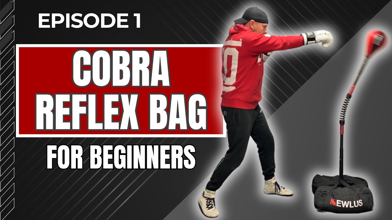Ep 1 - Cobra Reflex Bag Training for beginners