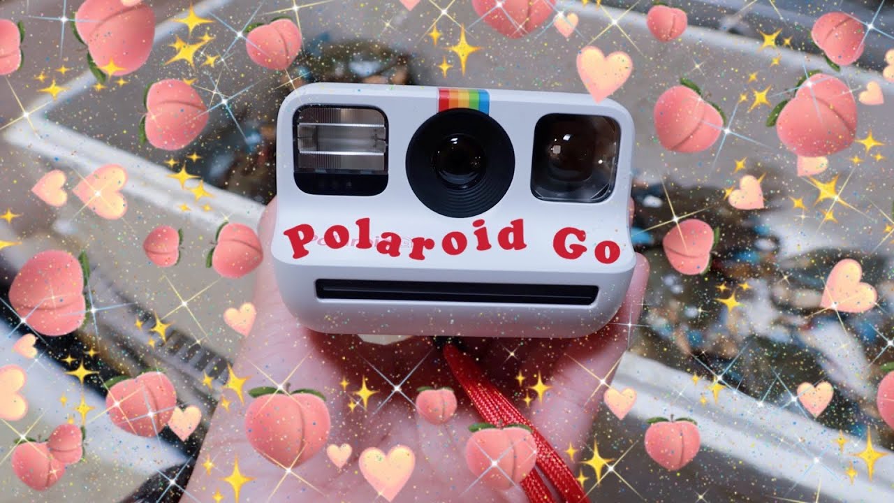 SMALLEST CAMERA! Polaroid Go unboxing w/ photos & I got a new puppy! | itsteodore