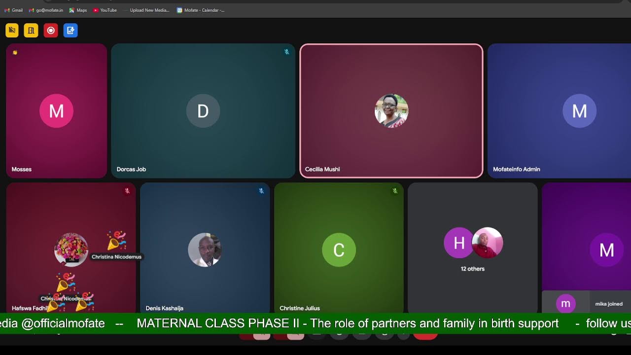 MATERNAL CLASS PHASE II - The role of partners and family in birth support