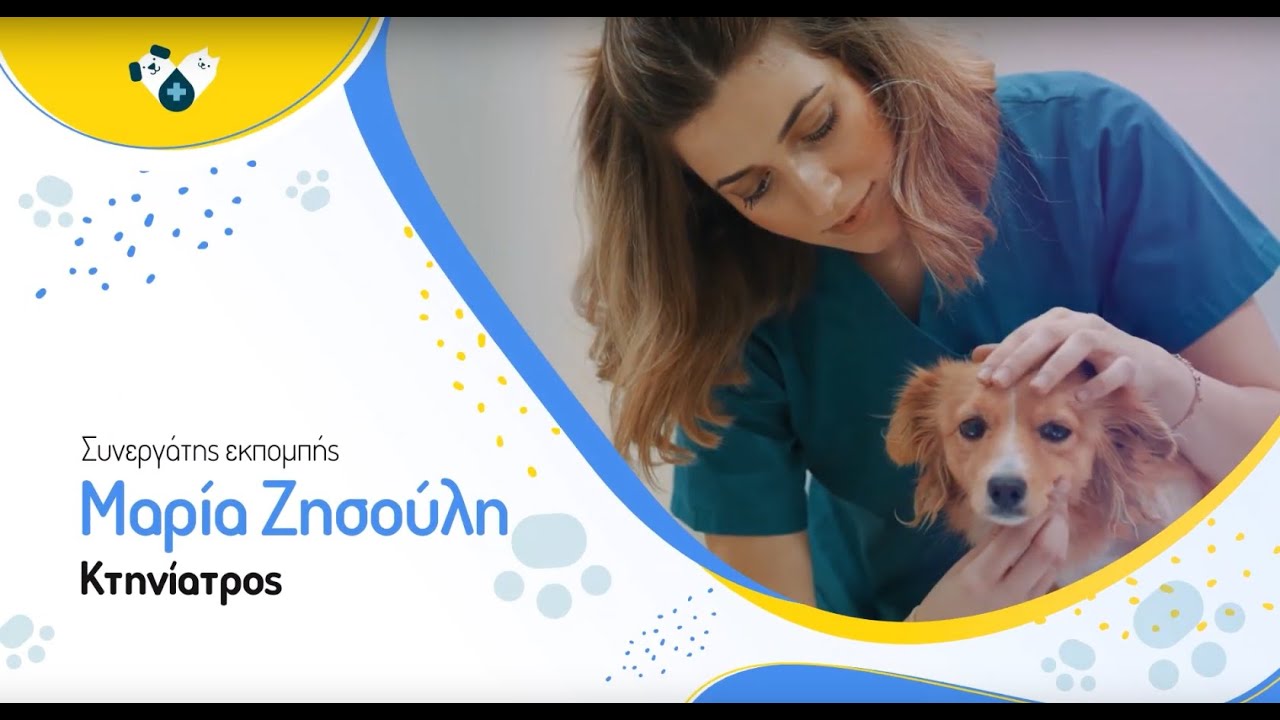 Εμβολιασμός σκύλου , εμβολιασμός γάτας