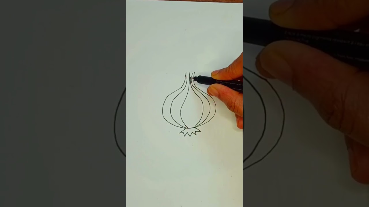 How to draw a Onion| Easy Drawing Tutorial in Malayalam for Kids.