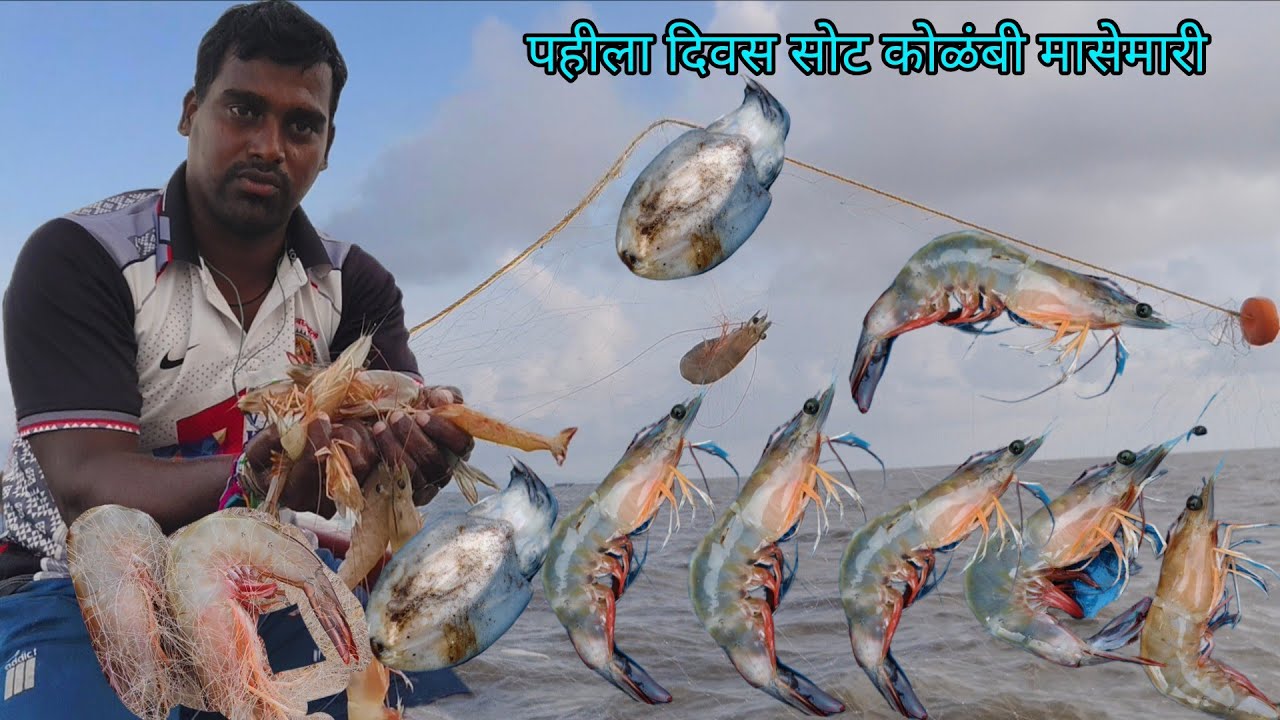 Gp fishing कोकणातील## जबरदस्त सोट# कोळंबी मासेमारी आणि मच्छी चा कादव 